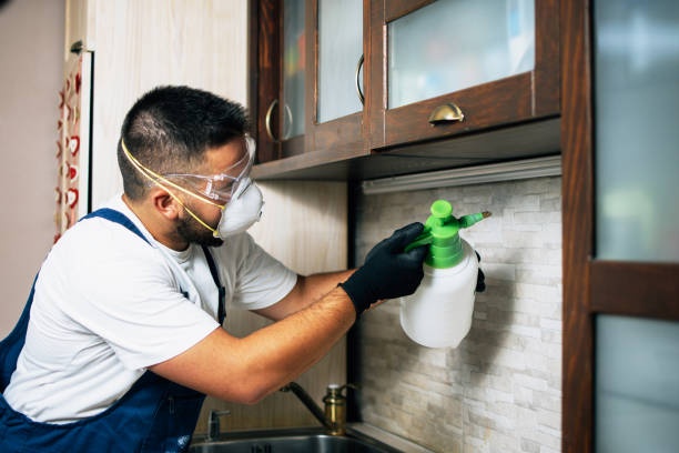 Professional Pest Control in Chelsea Cove, NY