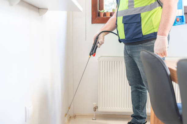 Best Local Pest Control Services  in Chelsea Cove, NY