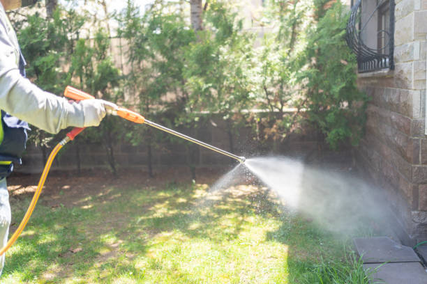 Best Pest Removal Services  in Chelsea Cove, NY