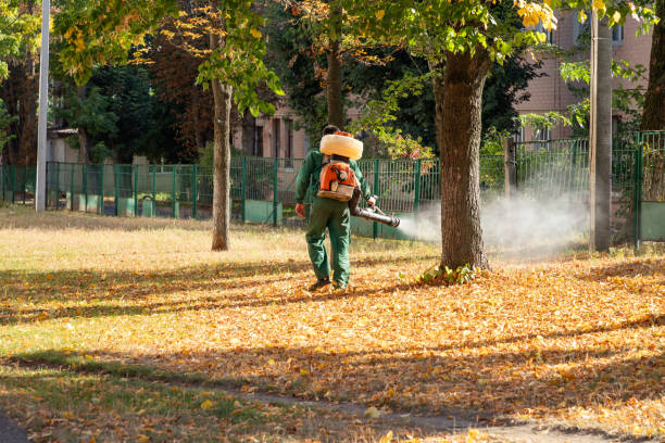 Best Flea Control Services  in Chelsea Cove, NY