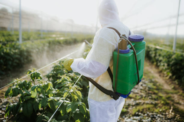 Best Best Pest Control Companies  in Chelsea Cove, NY